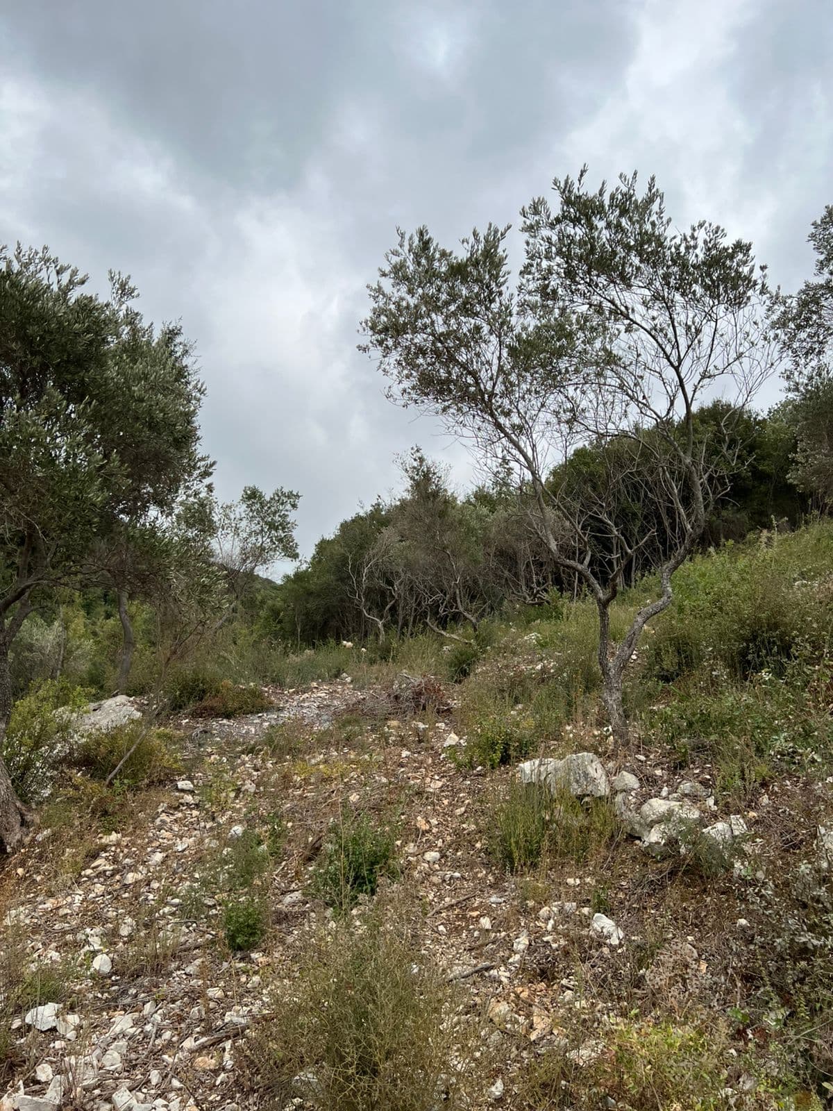 Land for Sale in Bejjeh