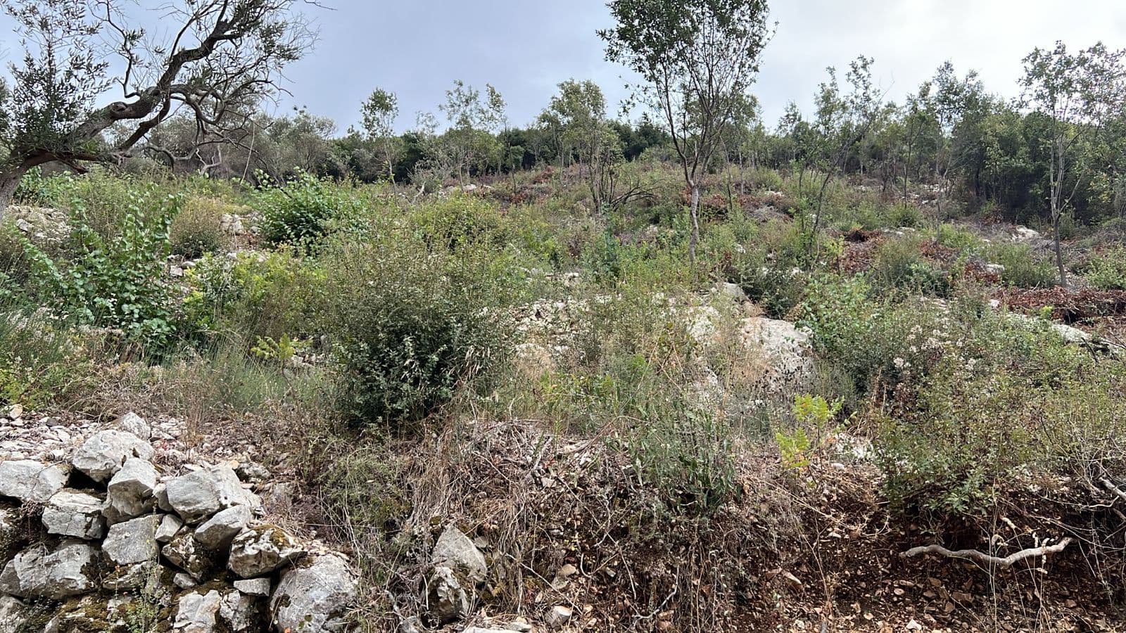 Fatqa Land For Sale